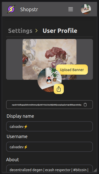 Set up your Trigo seller profile on Nostr — dark mode