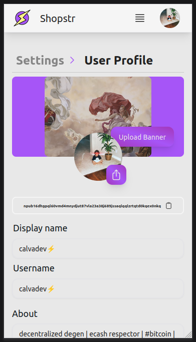 Set up your Trigo seller profile on Nostr — light mode
